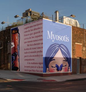 Myosotis mural