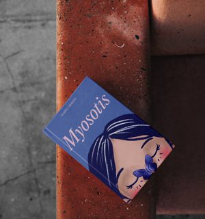 Myosotis