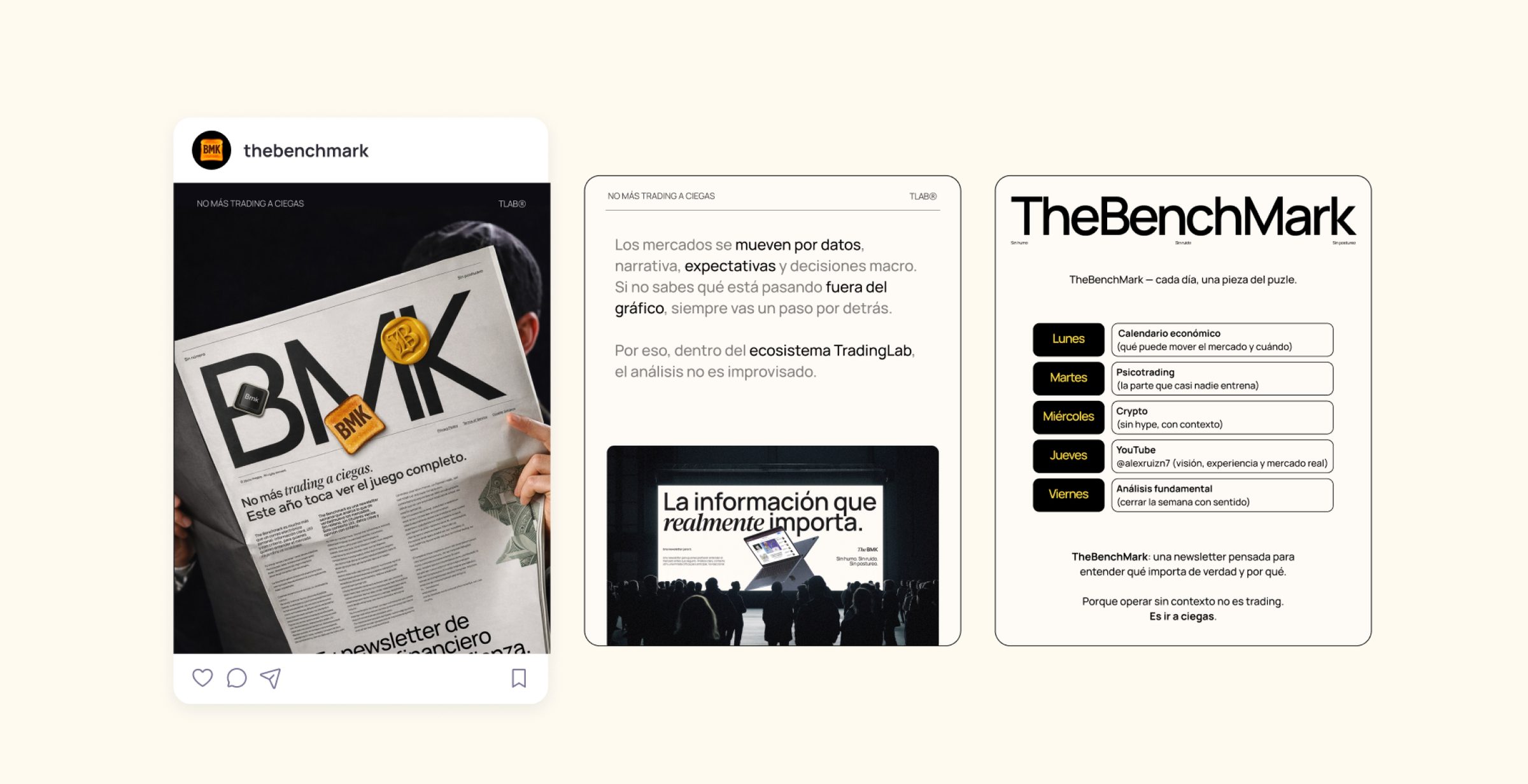 TheBenchMark social media and newsletter layouts